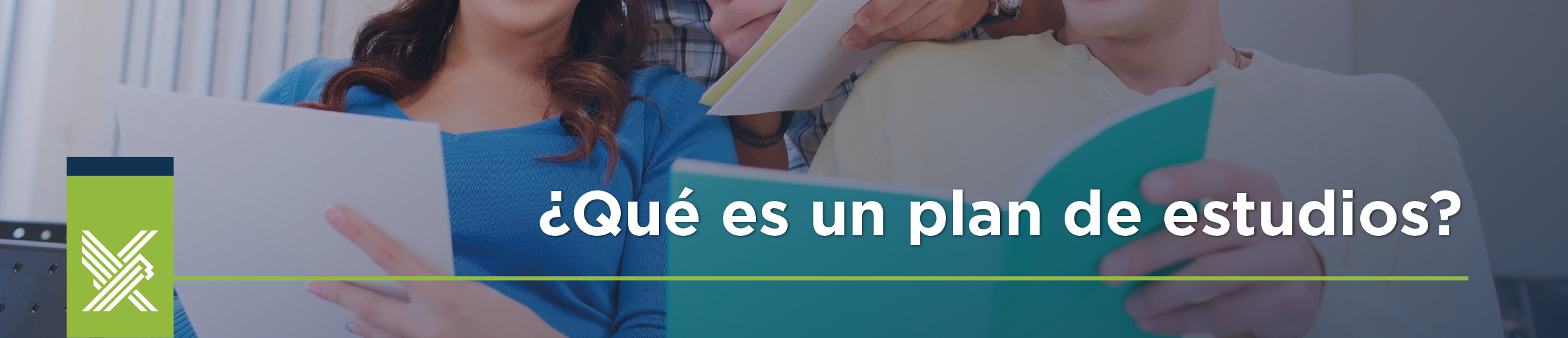 elección de materias