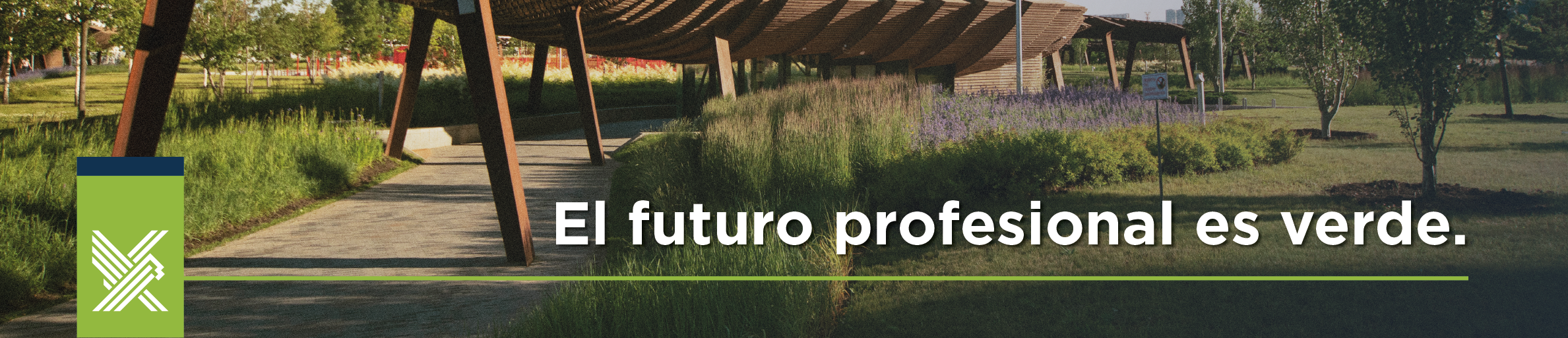 futuro profesional verde