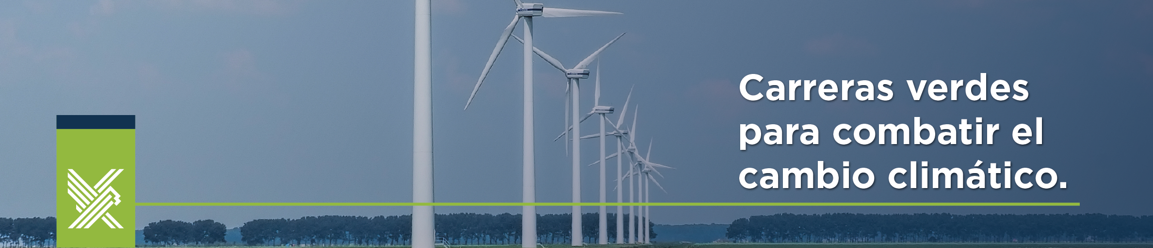 combatir el cambio climático