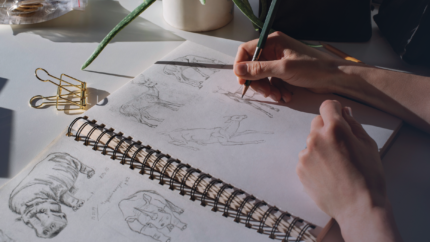 diseño gráfico