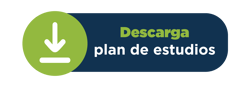 Botón descargar plan estudio