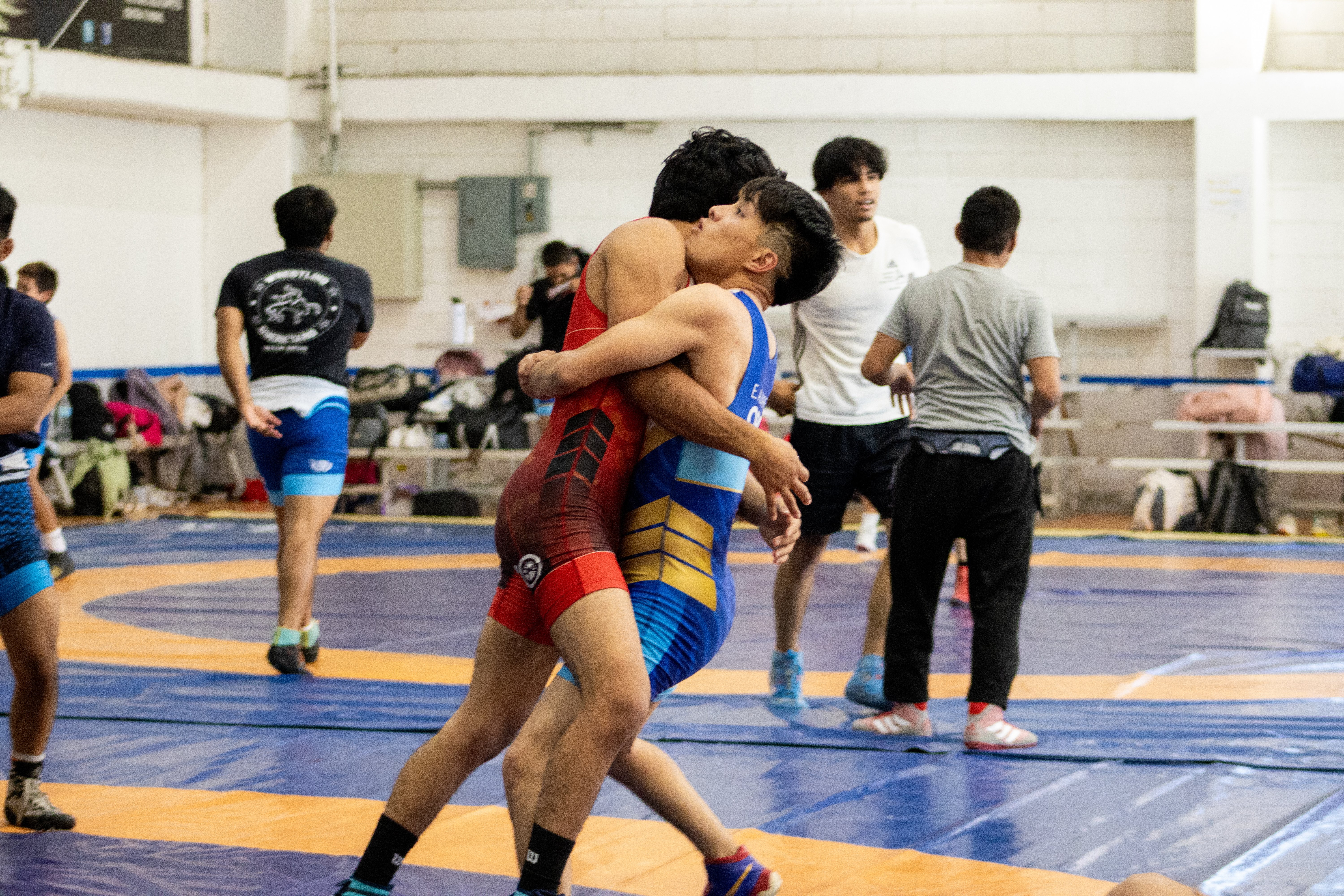 equipo de lucha universidad cuauhtémoc