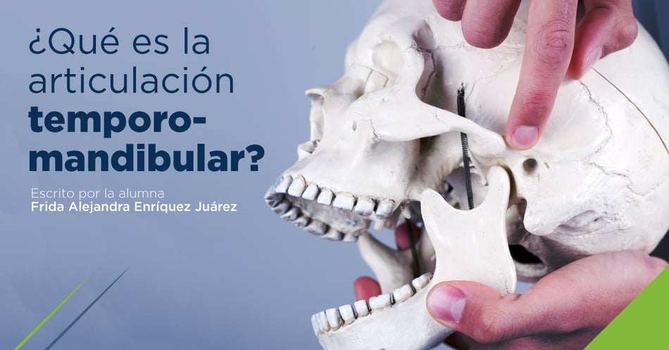 ¿Qué es la articulación temporomandibular?