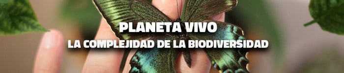 biodiversidad