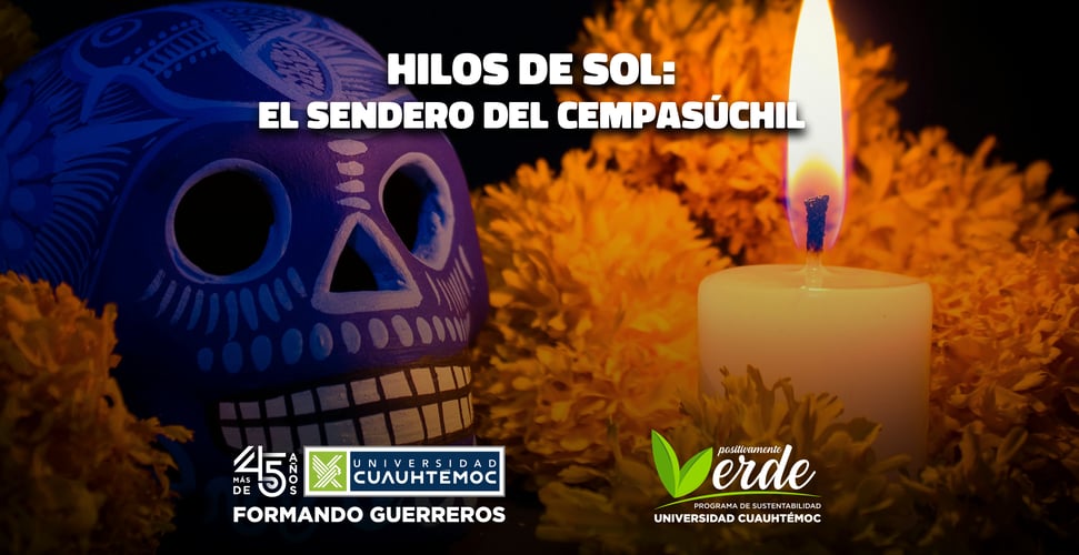 Hilos de sol: El sendero del cempasúchil