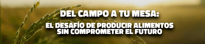 Qro_circular_banner-2