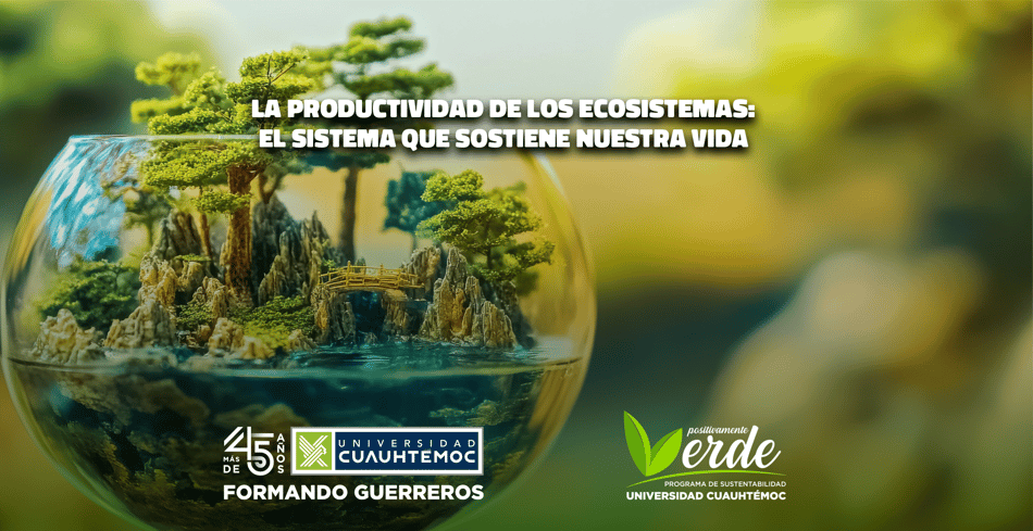 La productividad de los ecosistemas: el sistema que sostiene nuestra vida