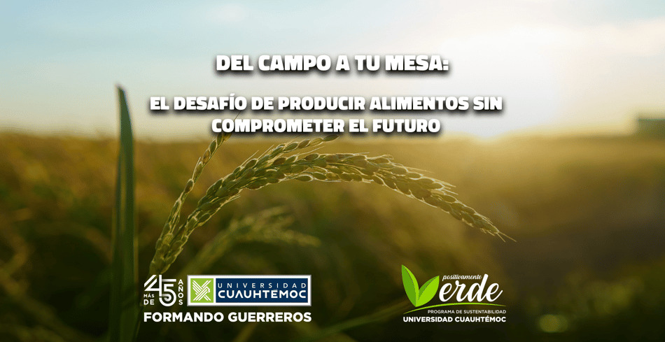 Del campo a tu mesa: el desafío de producir alimentos sin comprometer el futuro