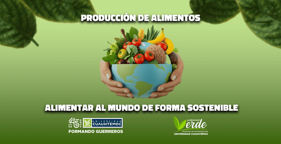 Producción de alimentos: alimentar al mundo de forma sostenible