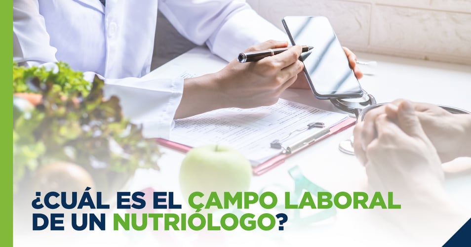 ¿Cuál es el campo laboral de un nutriólogo?