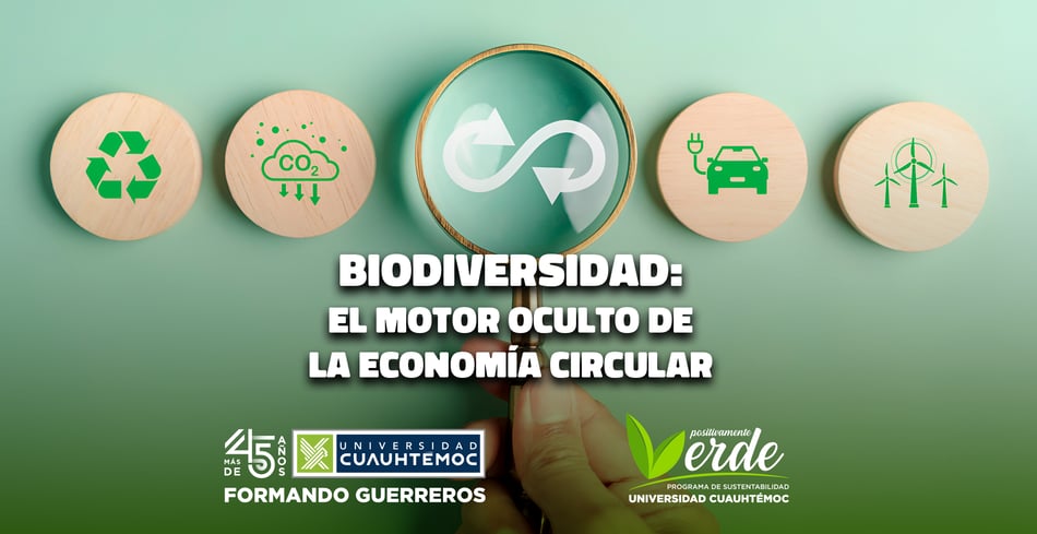 Biodiversidad: El motor oculto de la economía circular