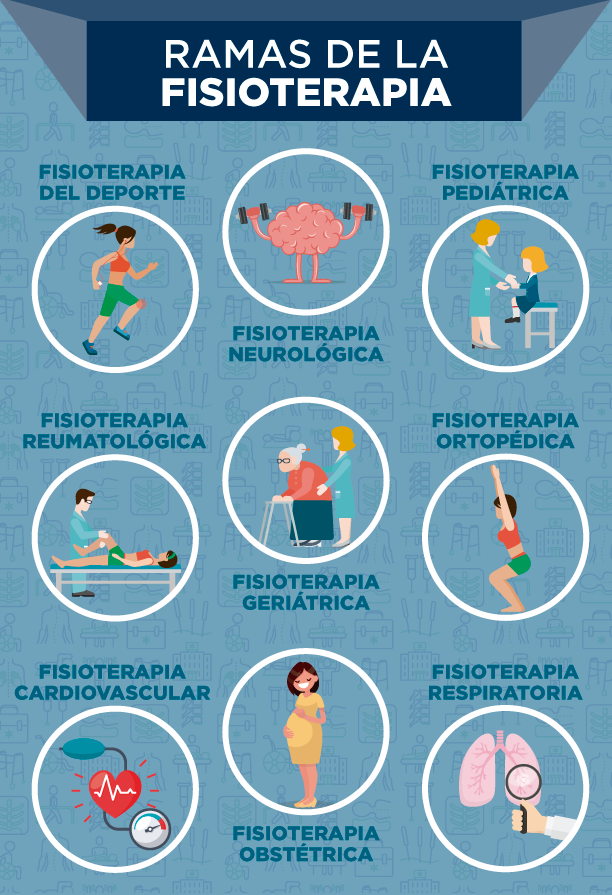 infografía ramas fisioterapia