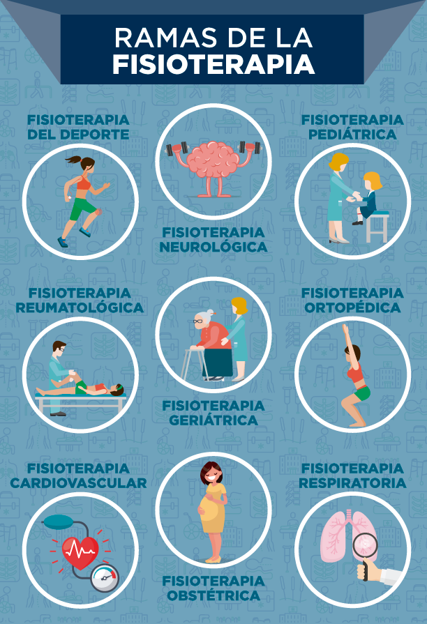 ¿Cómo ser Fisioterapeuta? Ramas de la fisioterapia