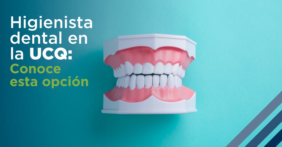 Higienista dental en la UCQ: Conoce esta opción