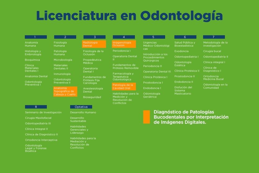 ucq_plandeestudiosodontología_lic.4.jpg