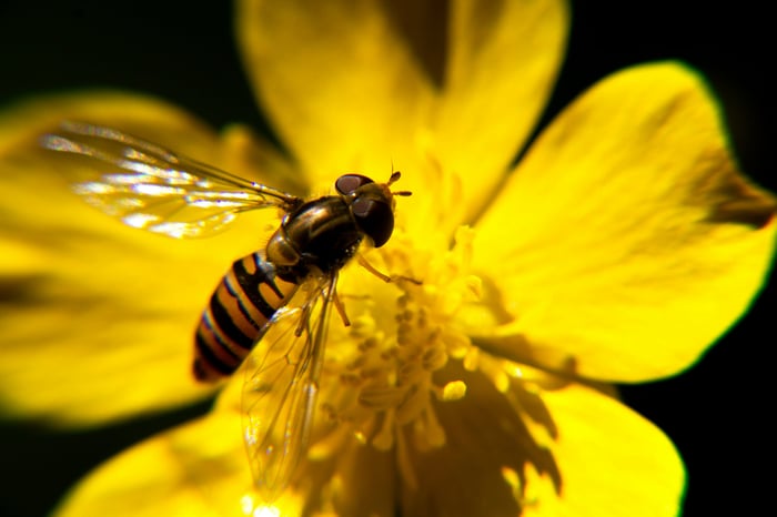 biodiversidad