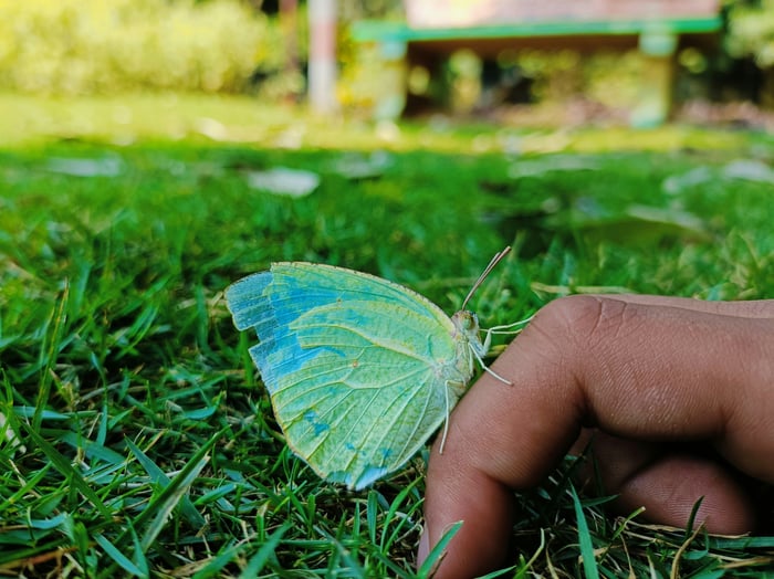 biodiversidad